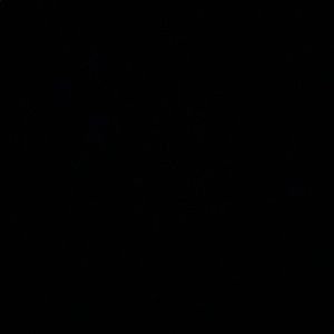 Meet your Posher, Bali